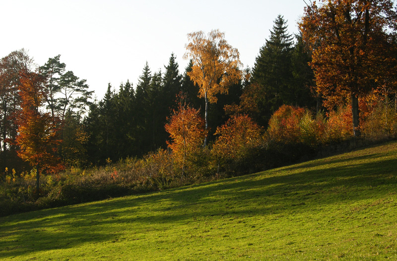 Herbstlandschaft bei Mallersdorf