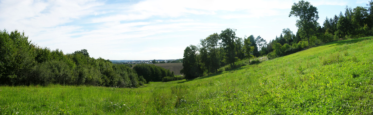 Landschaft bei Mallersdorf