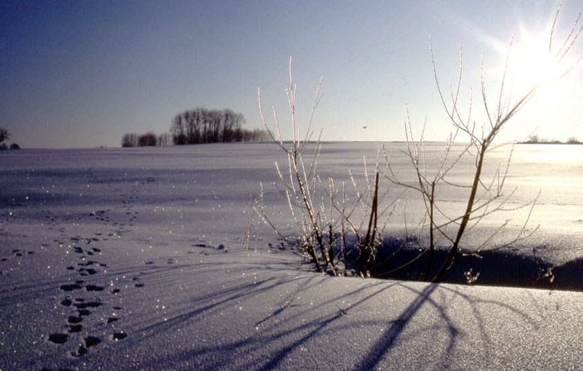 Winterlandschaft bei Welbhausen